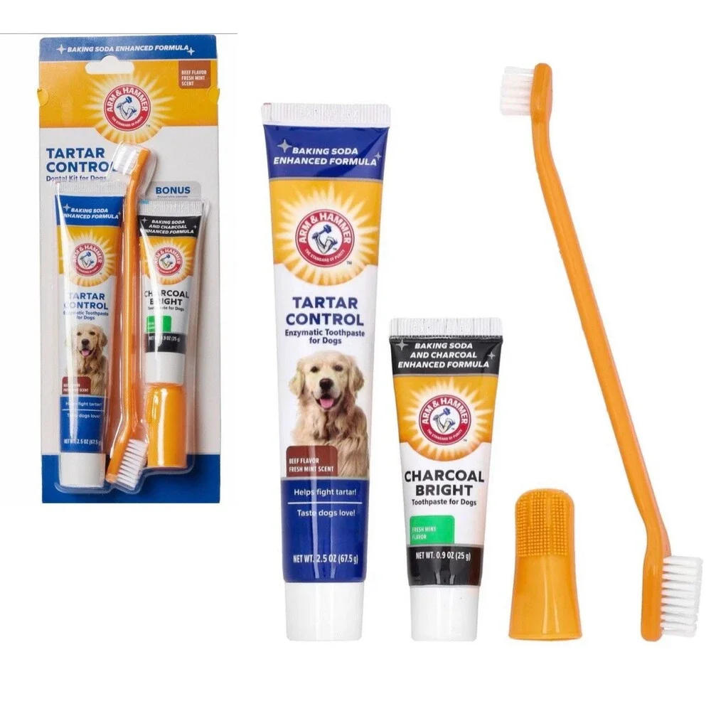 2-Pack Dog Dental Kit BONUS Enzymatic Beef Flavor Mint Arm & Hammer Toothbrush